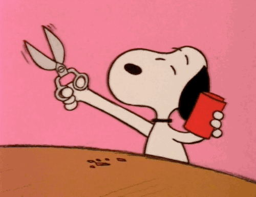 charlie-brown-happy-valentines-cute-greetings-animated-gif-2